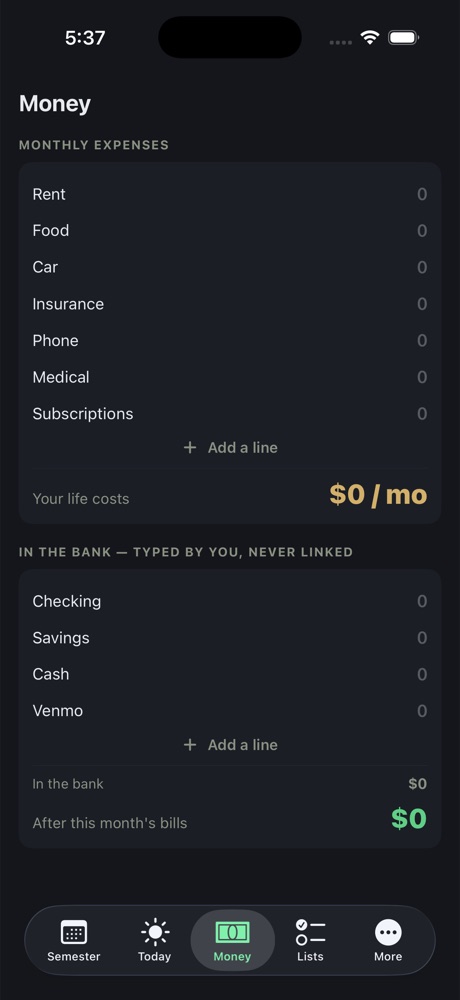 Money page — monthly expenses and bank, typed by you